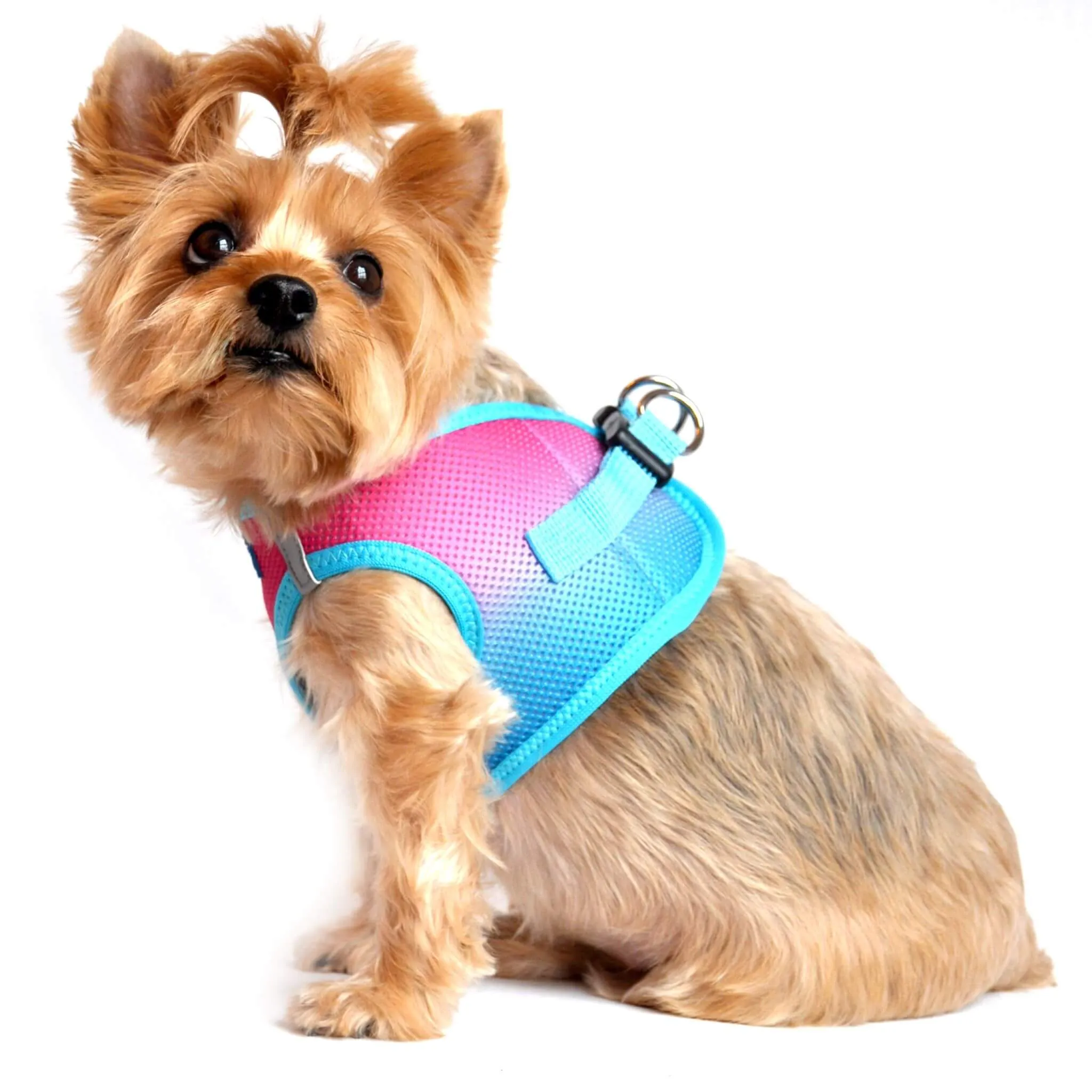 American River Ombre Choke Free Dog Harness - Sugar Plum