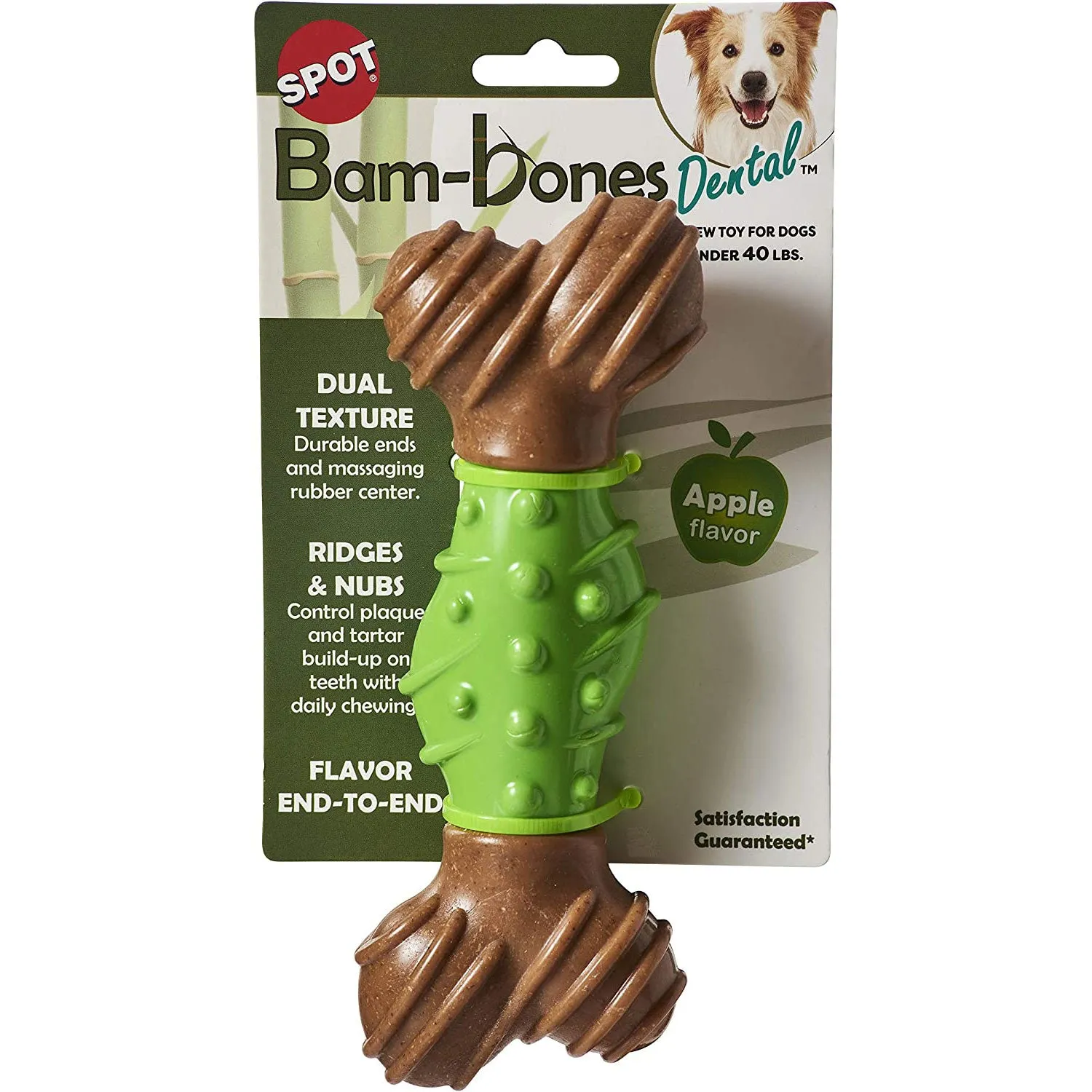 Bambone Dental Bone