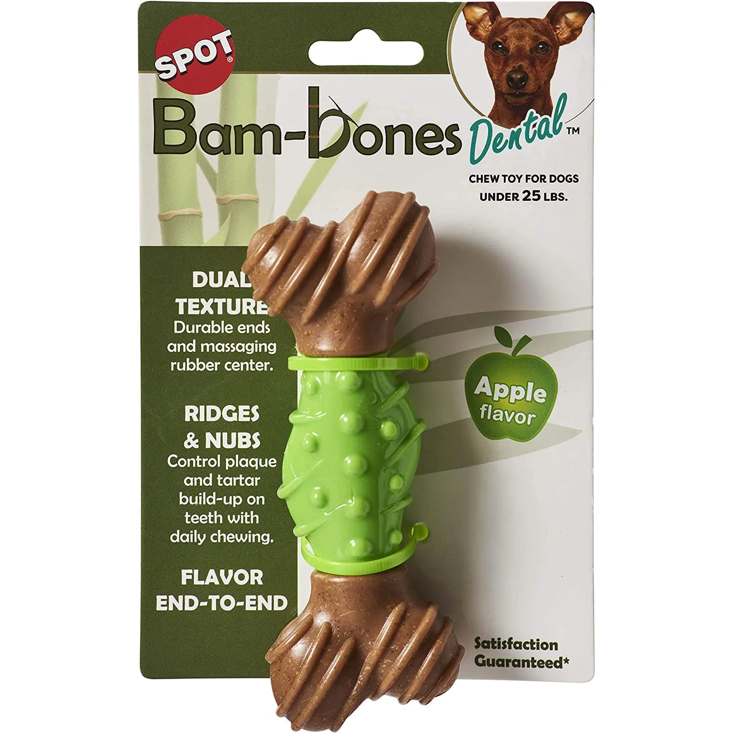 Bambone Dental Bone