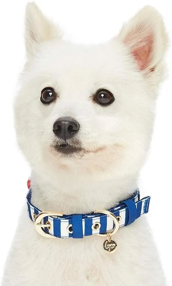 Blueberry Pet 4 Patterns Bon Voyage Sea Lover Adjustable Dog Collar in Chunky Nautical Blue Stripes, Neck 17-20.5", for Large Breed