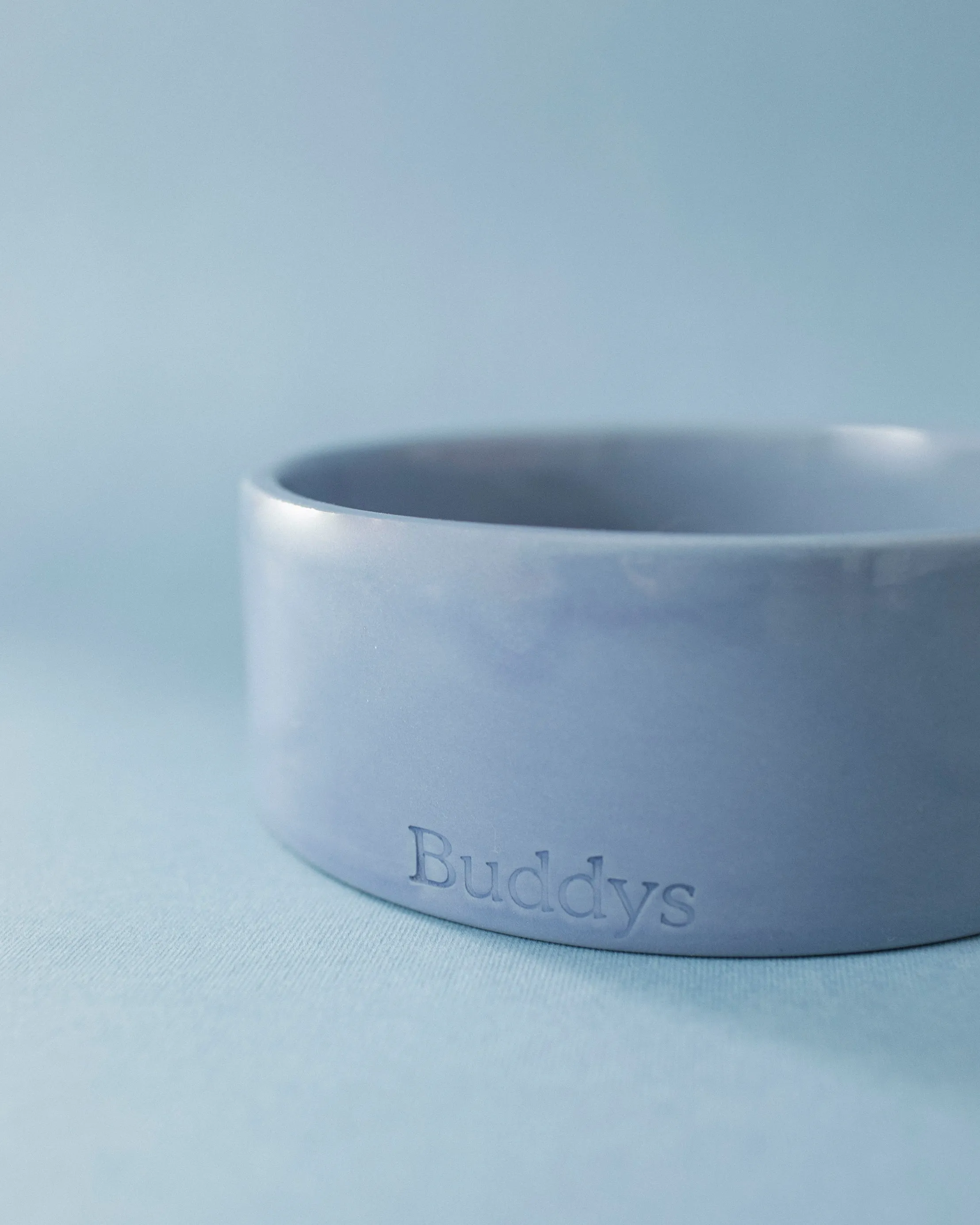 Buddy Dog Food and Water Bowl, Blue Medium