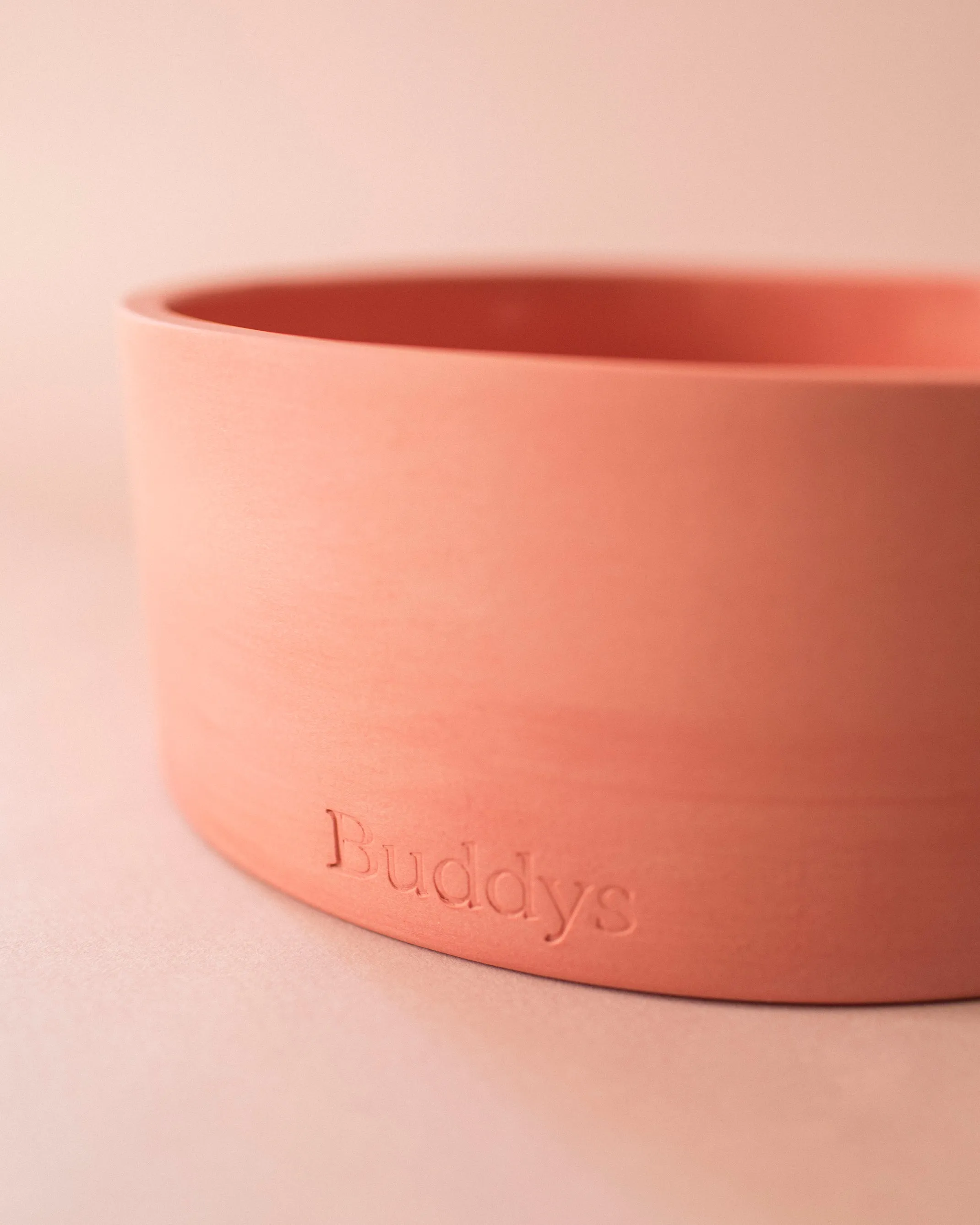 Buddy Dog Food and Water Bowl, Coral Medium
