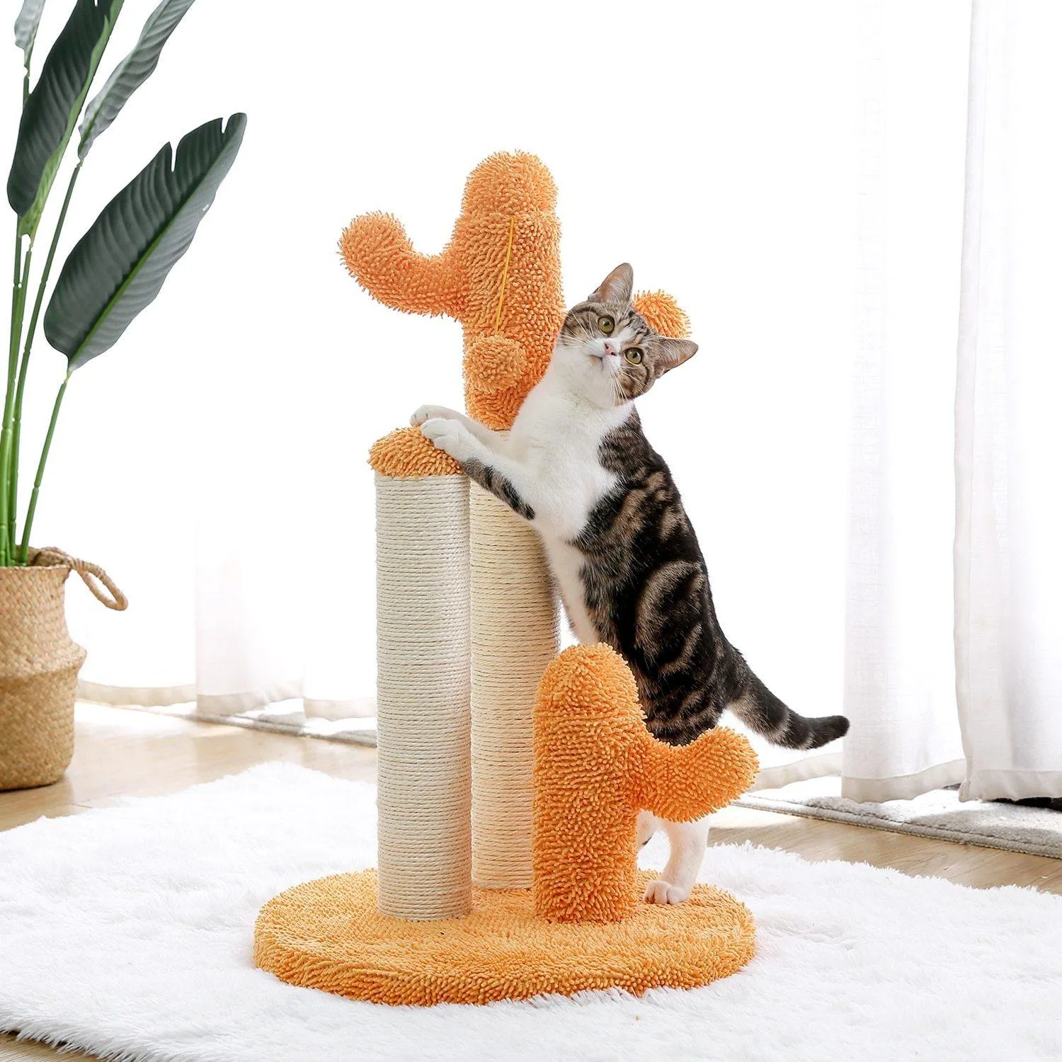 Cactus Cat Scratcher Post