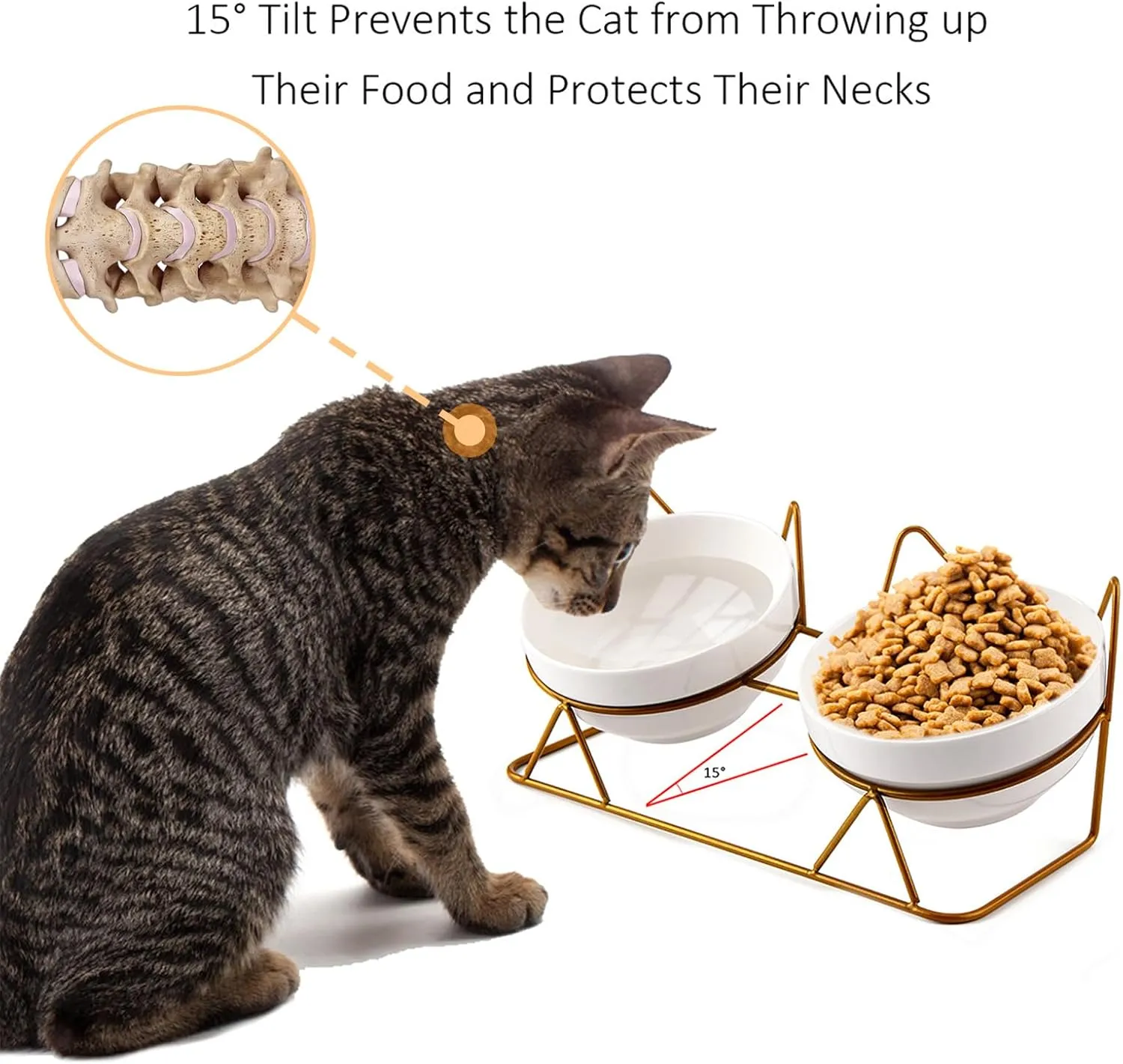 Cat Bowls, Double Ceramic Pet Bowls with 15Tilted Raised Stand for Food and Water, Anti Vomiting Cat Dish Feeder, Perfect for Puppy Cats and Small Dogs(Double Bowls1)