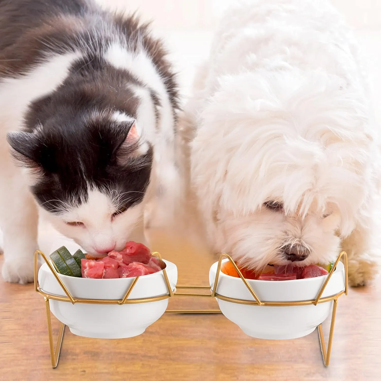 Cat Bowls, Double Ceramic Pet Bowls with 15Tilted Raised Stand for Food and Water, Anti Vomiting Cat Dish Feeder, Perfect for Puppy Cats and Small Dogs(Double Bowls1)