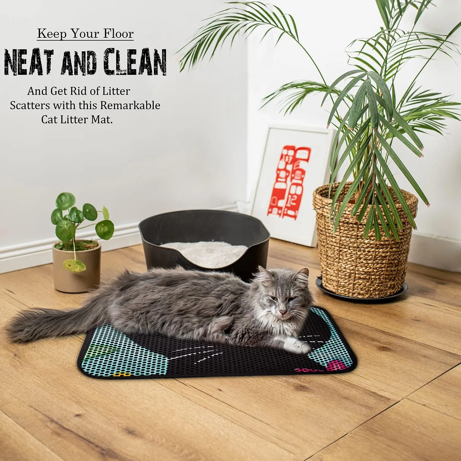 Cat Litter Mat, Washable Large Indoor Mats, Honeycomb Double Layer Trapping Tray, 24"x16", Black