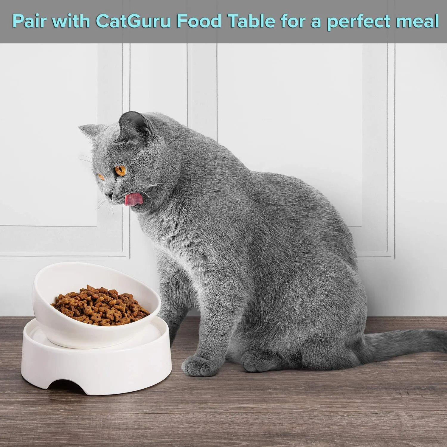 CatGuru Cat Food Bowl, Ceramic Bowls for Indoor Cats, No Spill Cat Feeding Bowl, Whisker Stress Free Kitten Bowls, Pet Bowls for Food and Water, Includes Silicone Non-Slip Mat (High-Low, White)