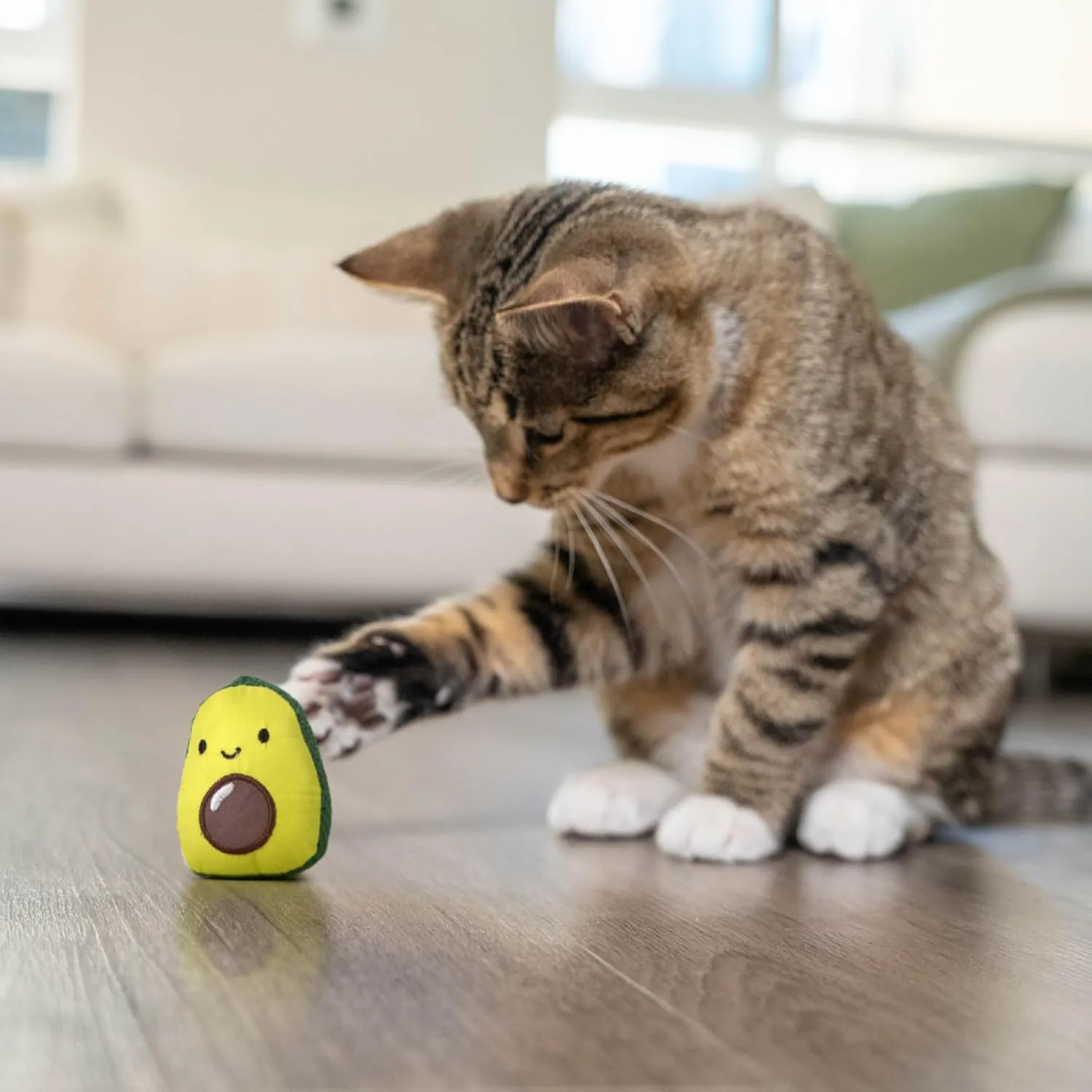 Catstages Lil' Avocato Dental Health Catnip Cat Chew Toy