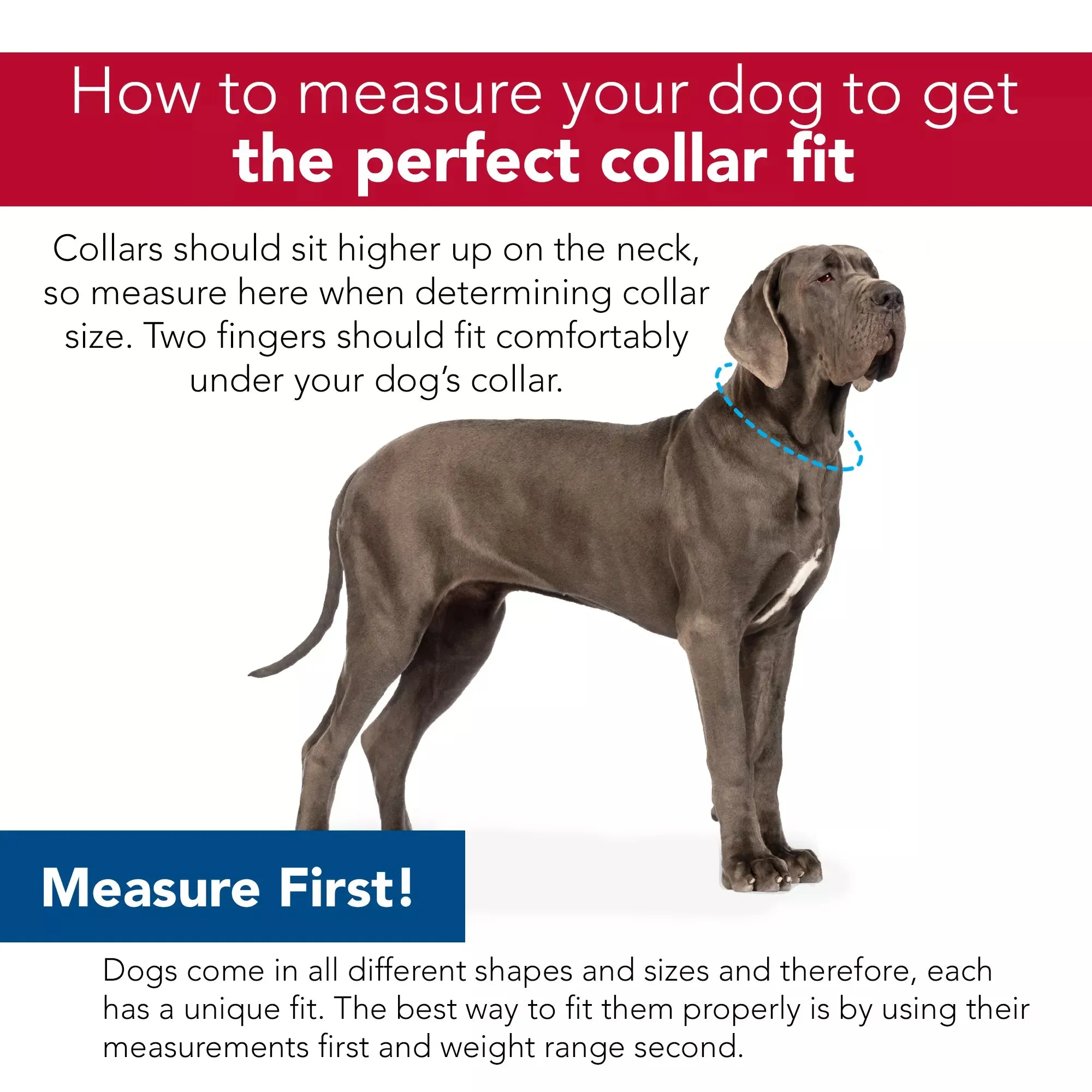 Coastal Pet Pet Products Tuff Buckle Adjustable Nylon Small and Medium Dog Collar