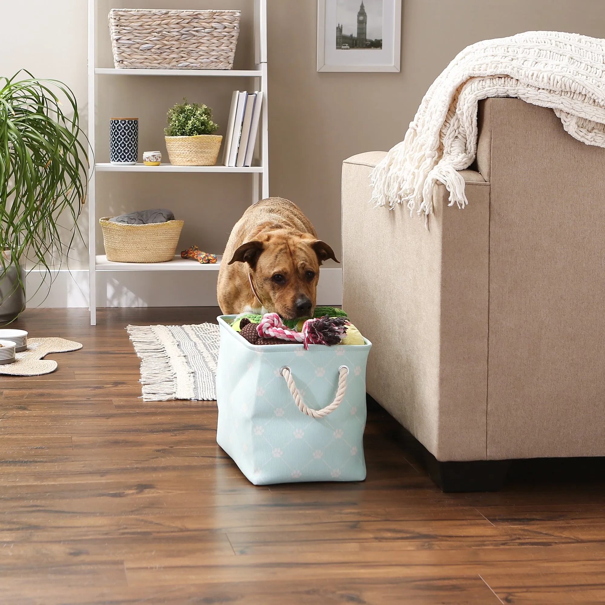 Collapsible Pet Storage Bin, Trellis Paw Print, Aqua, Medium - 16x10x12"