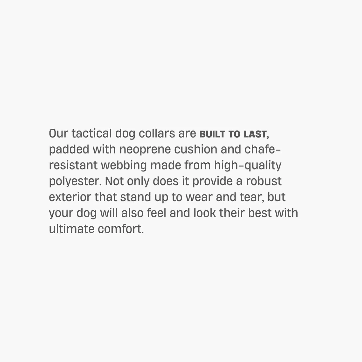 DF Co. Tactical Dog Collar | Comfortable & Secure with Quick Release Clip Buckle and Heavy Duty D-Ring | Soft Padded Neoprene, Chafe Resistant, Night-Time Visibility | Pink, Size S