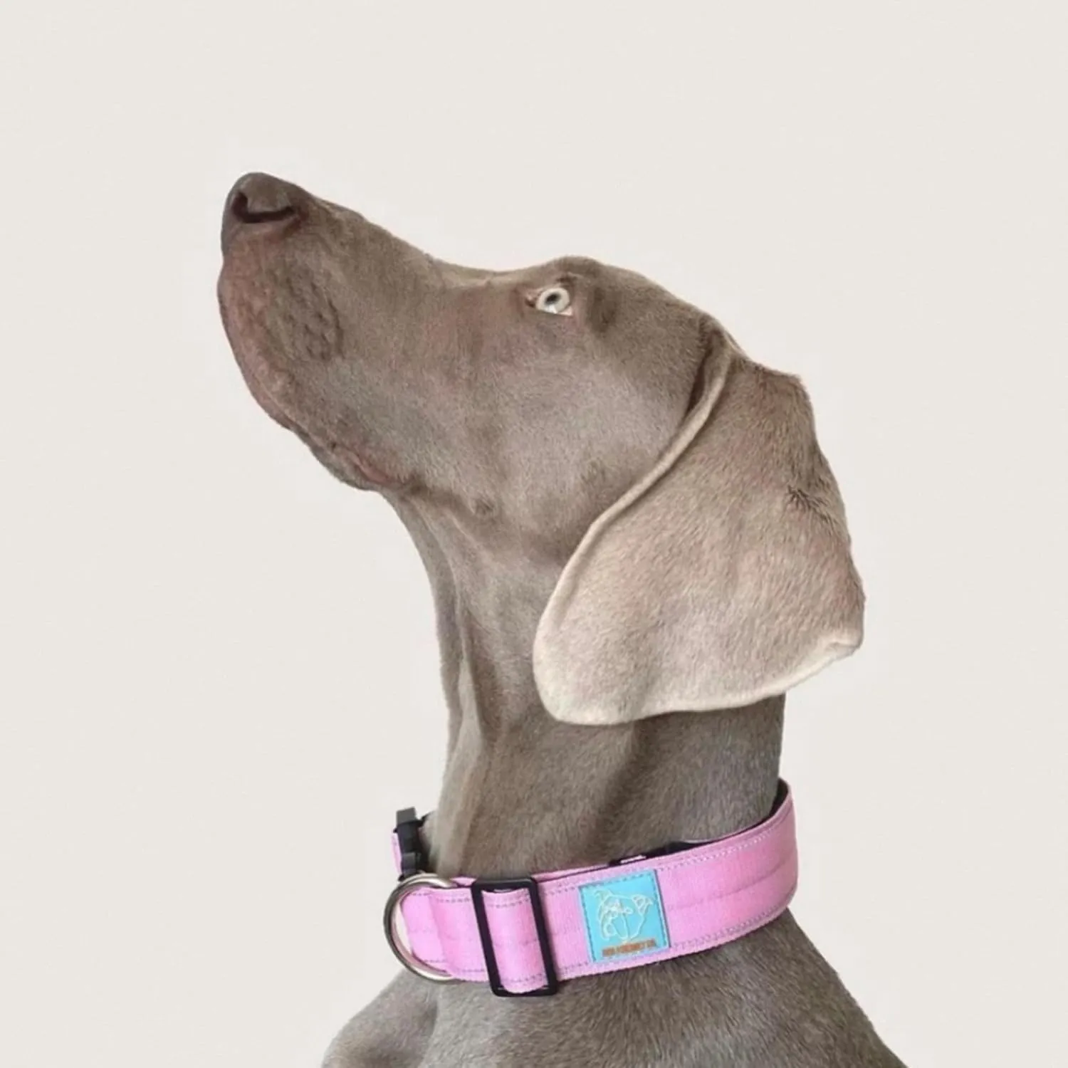 DF Co. Tactical Dog Collar | Comfortable & Secure with Quick Release Clip Buckle and Heavy Duty D-Ring | Soft Padded Neoprene, Chafe Resistant, Night-Time Visibility | Pink, Size S