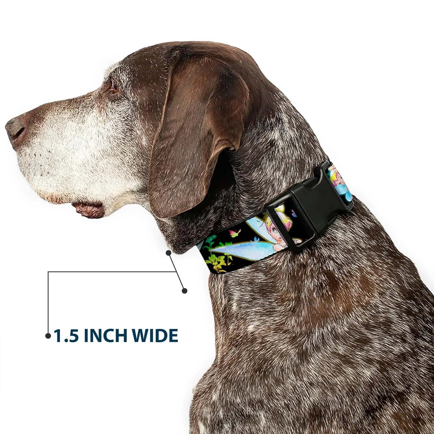 Disney Pet Collar, Dog Collar Plastic Buckle, Glowing Tinker Bell Butterflies Flowers Black Multi Neon, 9.5 to 14.5 Inches 0.5 Inch Wide