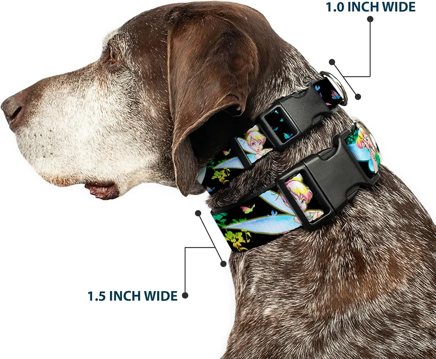 Disney Pet Collar, Dog Collar Plastic Buckle, Glowing Tinker Bell Butterflies Flowers Black Multi Neon, 9.5 to 14.5 Inches 0.5 Inch Wide