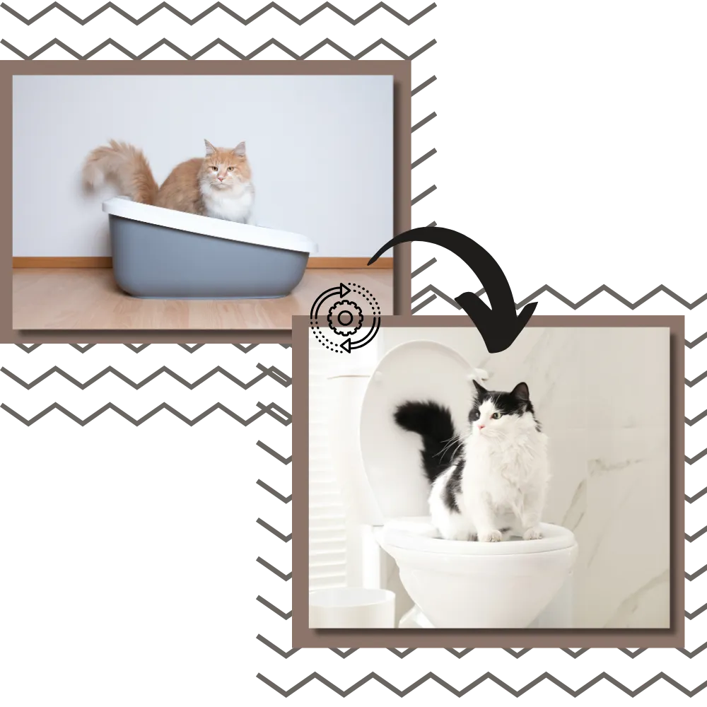 Easy Training Cat Litter Toilet Trainer