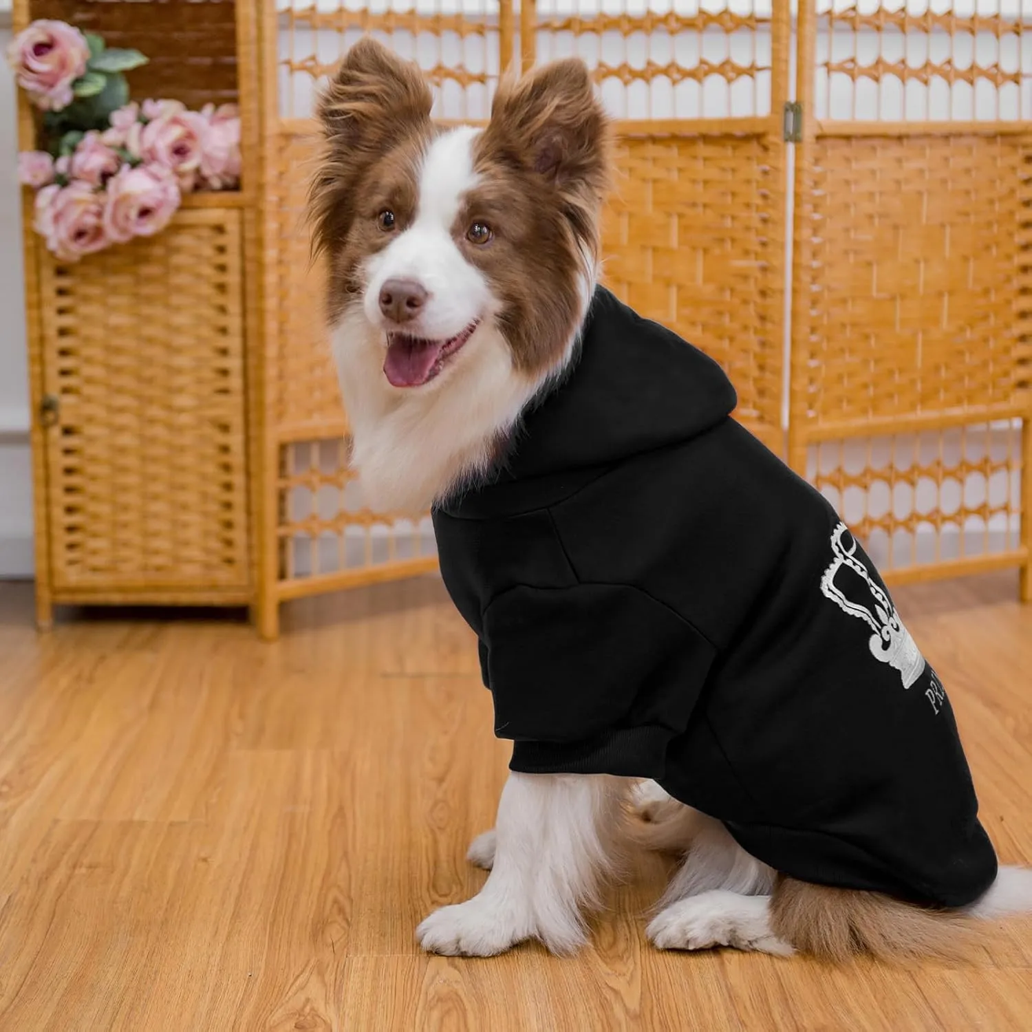 EXPAWLORER Prince Dog Hoodie for Boys - Hooded Sweater With Leash Hole, Cold Weather Clothes, Sweatshirt With Pocket, Pet Warm Outfit, Winter Coats for XS-XXL Dogs