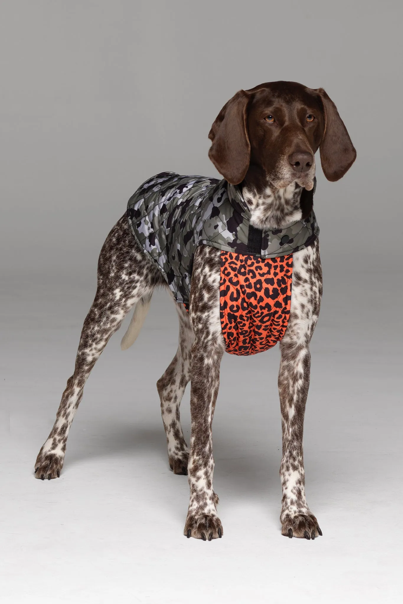 Foxtrot Dog Jacket