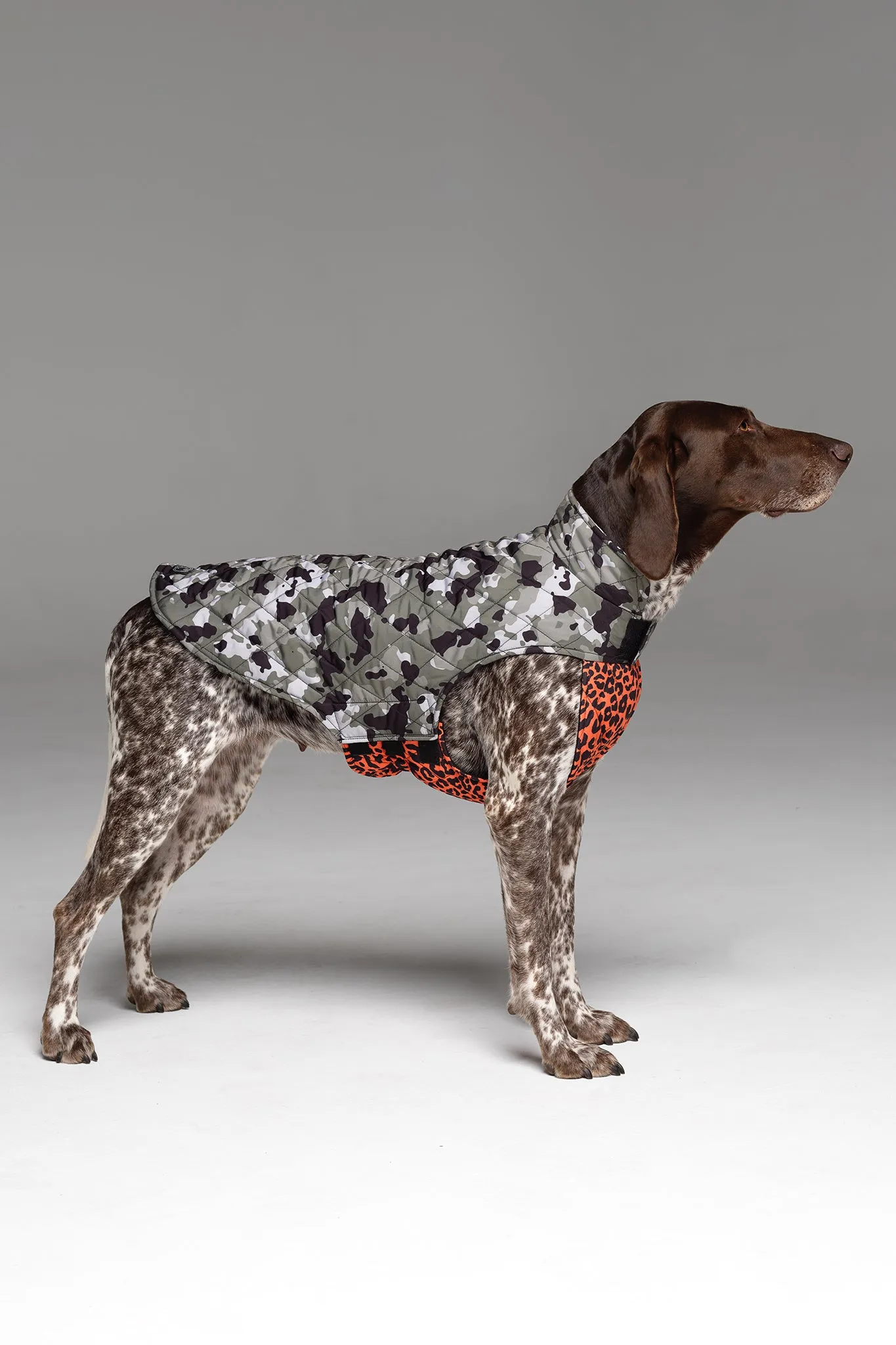 Foxtrot Dog Jacket