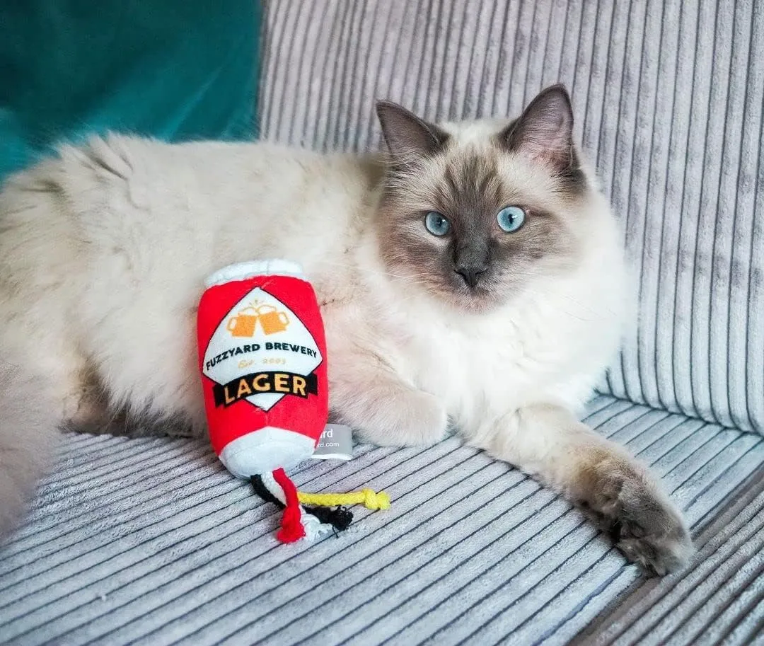 Fuzzyard Crinkle Plush Cat Toy with String and Catnip Inside (Beer)