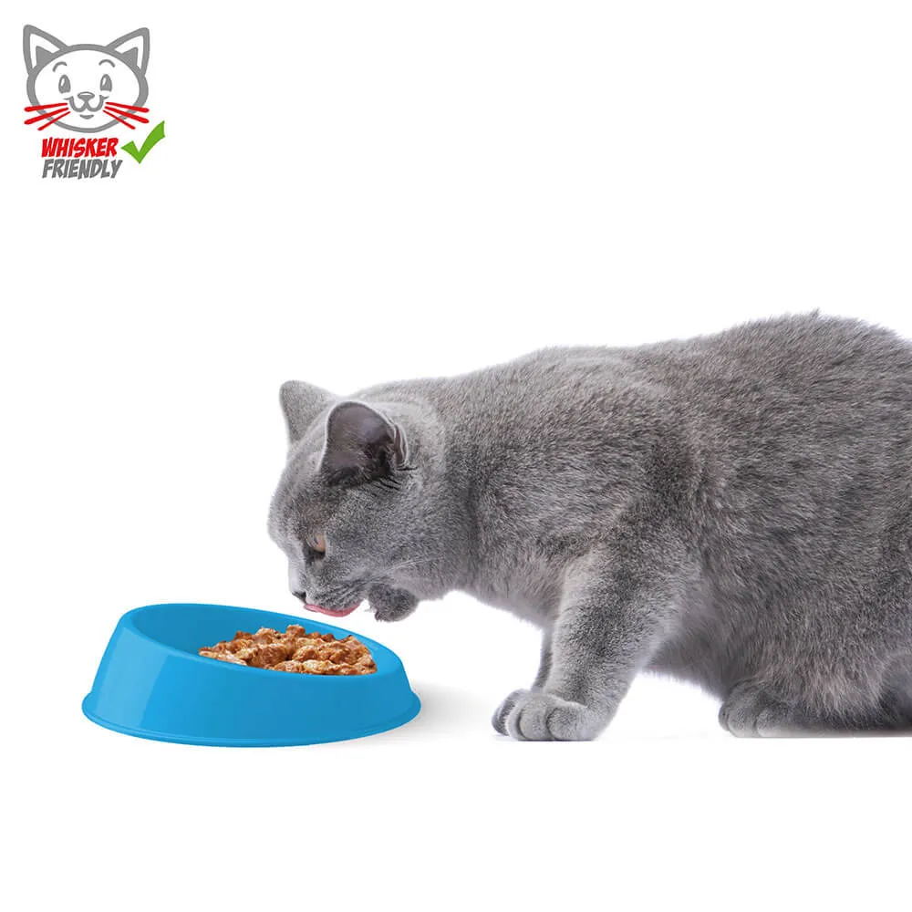 Georplast Vibrissa Bowl Blue