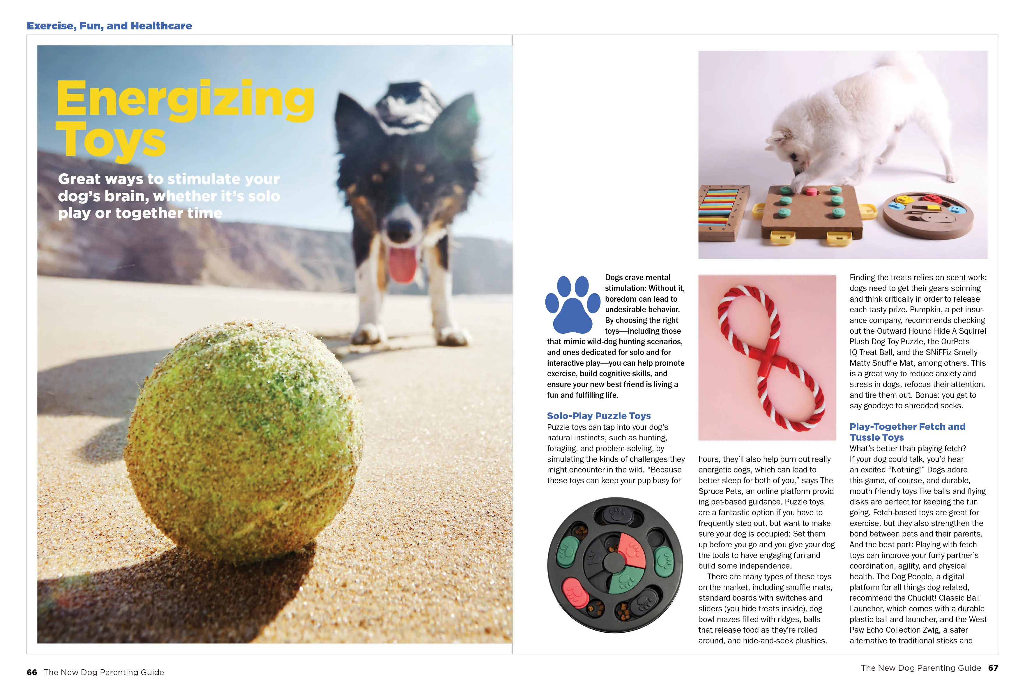 Guide to Dog Parenting - Expert Tips for a Well Adjusted Dog Toys That Stimulate Training & Tricks Humane Grooming Finding The Right Vet