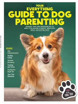 Guide to Dog Parenting - Expert Tips for a Well Adjusted Dog Toys That Stimulate Training & Tricks Humane Grooming Finding The Right Vet