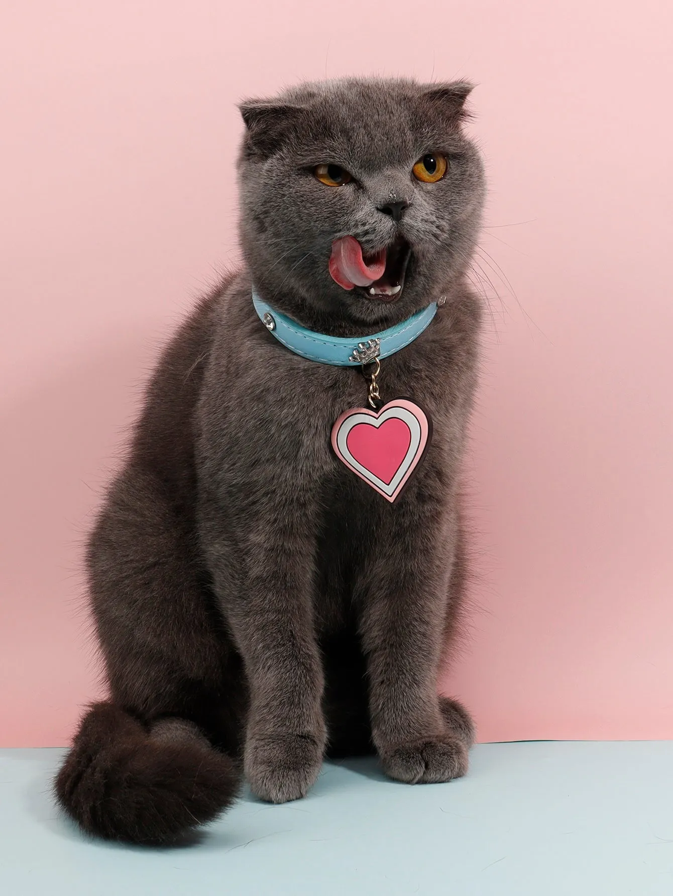 Heart Pendant Pet Collar