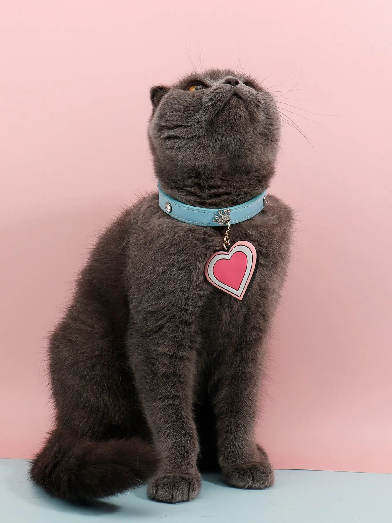 Heart Pendant Pet Collar