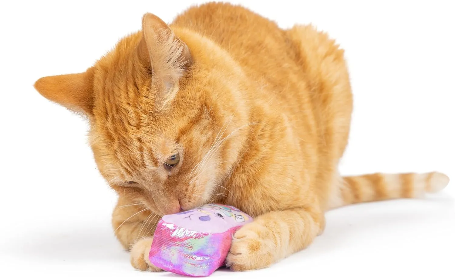 Huxley & Kent 2-Pack Plush Cat Toys - Hoppy Easter - Easter Spring Strong Catnip Filled - Plush Kitten and Cat Toy with Catnip and Crinkle - Kittybelles