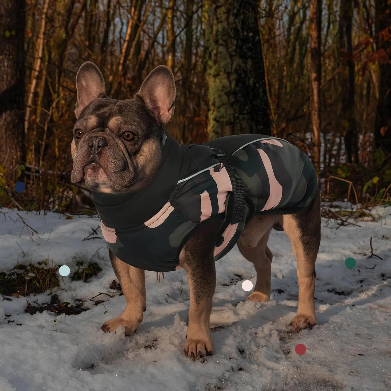 IECOii Extra Warm Dog Coat - Reflective Adjustable Jacket With Buckle Fleece Turtleneck for Cold Weather - Soft Winter Coat for Small Medium Extra Large Dogs - Green Camo