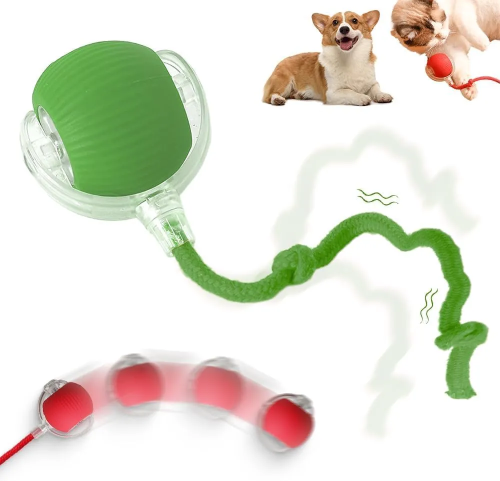Interactive 2025 Upgraded Version Dog & Cat Toy, Intelligent Automatic Rolling Ball (Green)