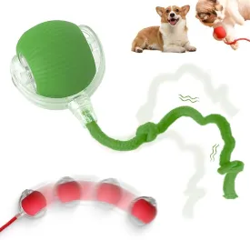 Interactive 2025 Upgraded Version Dog & Cat Toy, Intelligent Automatic Rolling Ball (Green)