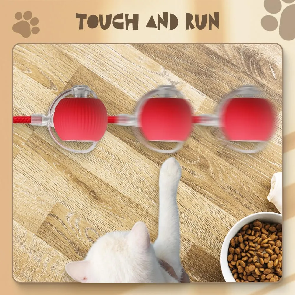 Interactive Rolling Dog Ball - 2025 Upgraded Version, 360 Intelligent Automatic Moving Toy for Dogs and Cats (Gray)