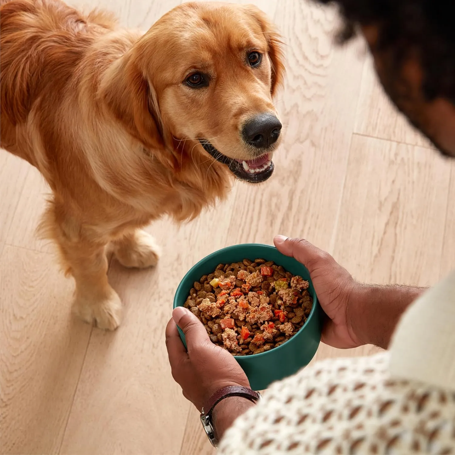 Jinx Chicken Grain-Free Wet Dog Food Toppers, No Fillers, Small & Large Breed Puppy & Senior Dogs, 3-oz Pouches, case of 8 Count