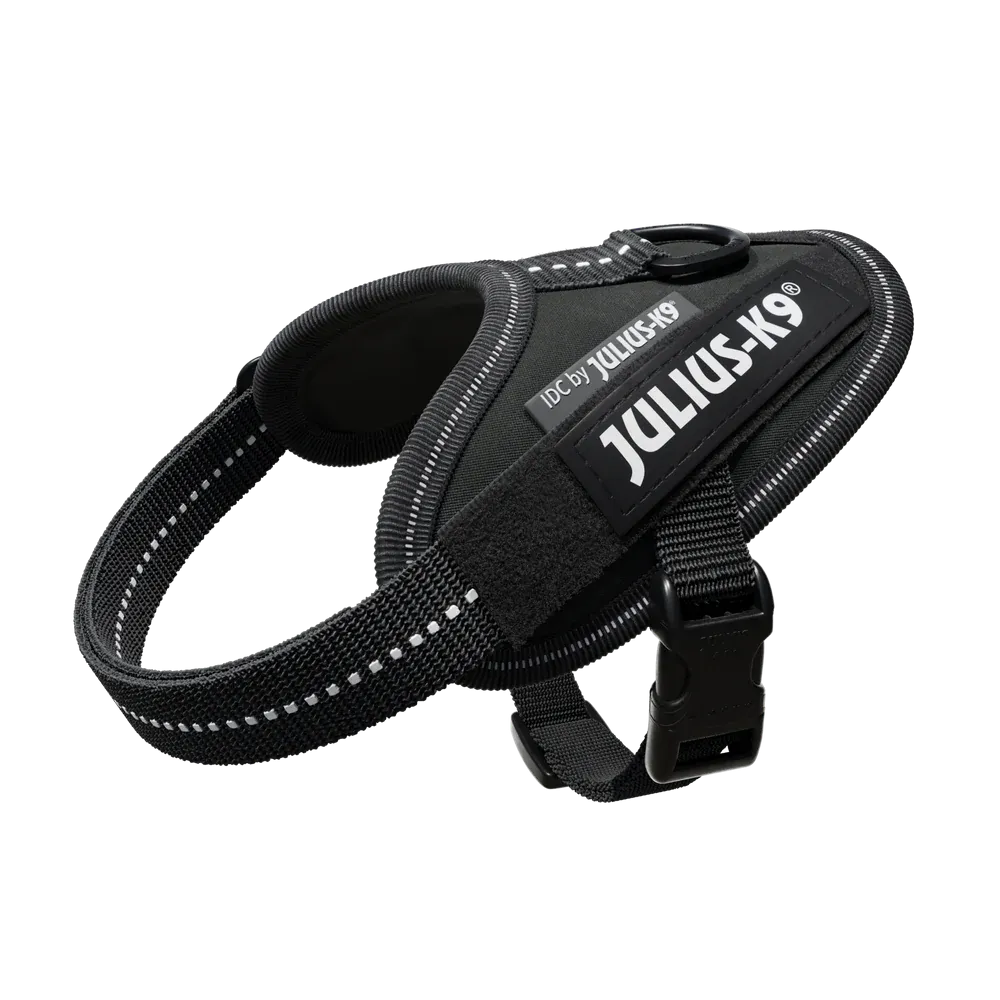 Julius K9 Black IDC Power Harness