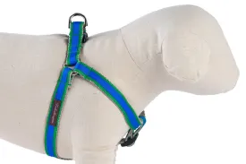 Kelly Green/Bright Blue Stripe Dog Harness - 326