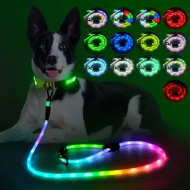 Light Up Dog Leash, YFbrite Glow in The Dark Leashes with 13 Lighting Modes, Rechargeable Dog Lights for Night Walking for Small Medium Large Dogs (Multi-Color-1, 5 FT (150cm))