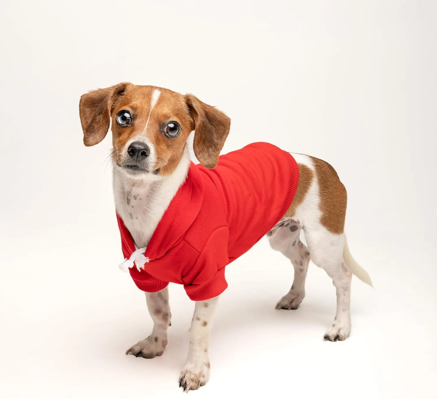 Mama's Boy Dog Hoodie | Fleece Lined |Leash Hole for Mom | Valentine's Day | Prop Photoshoot|Red, Small (6)