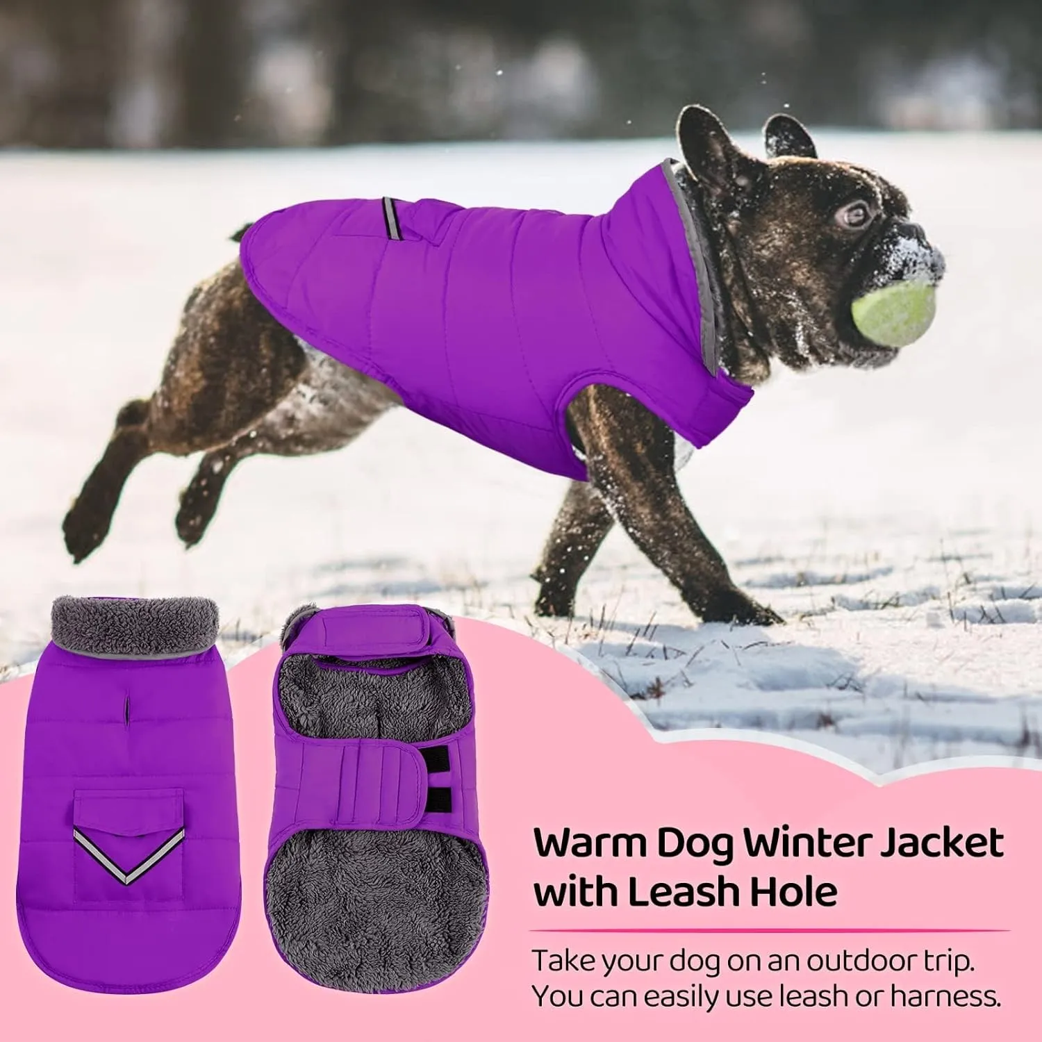 Mighi Winter Dog Jacket, Cold Weather Reflective Fleece Vest with Leash Hole and Furry Collar for Small to Large Dogs, Purple