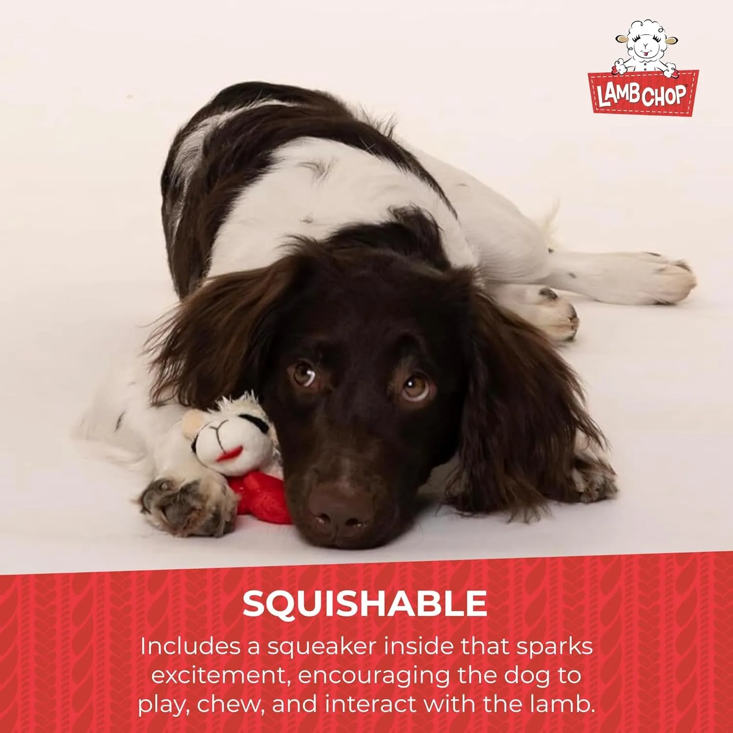 Multipet INTERNATIONAL 843140 Lambchop Plush Squeak Toy Mini for Pets, 6-Inch, White, Small