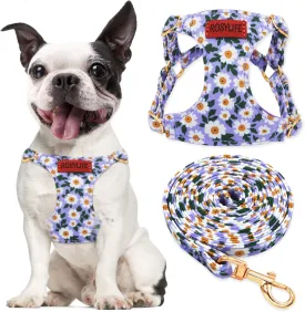 No Pull Dog Harness Adjustable Small Harness and Leash Set, Lightweight and Soft Dog Harness No Choke Escape Proof Pet Harness Vest (Purple Daisy, S)