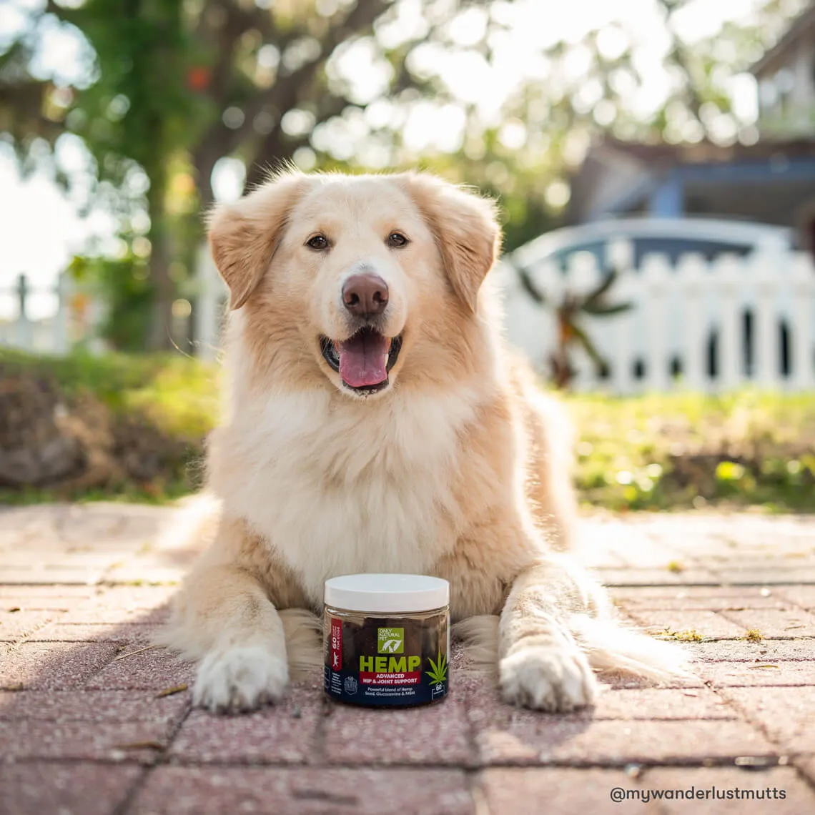 Only Natural Pet Hemp Advanced Hip & Joint Supplement for Dogs 60 Count