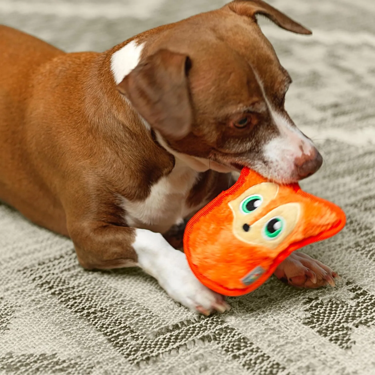 Outward Hound Durablez Minis Stuffing-Free Squeaky Interactive Dog Toy, Tough Plush, Fox, Orange, XS