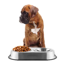 Pet Prior Food Bowl