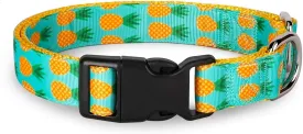 Pet Supplies, (Tropical Pineapple) Cat Collar, Dog Collar, Cat Leash, Dog Leash, Small Dog Collar, Medium Dog Collar, Large Dog Collar (Pet Collar, S)