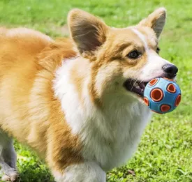 Pet toy dog food leakage and bite resistant toy ball bell sound training ball