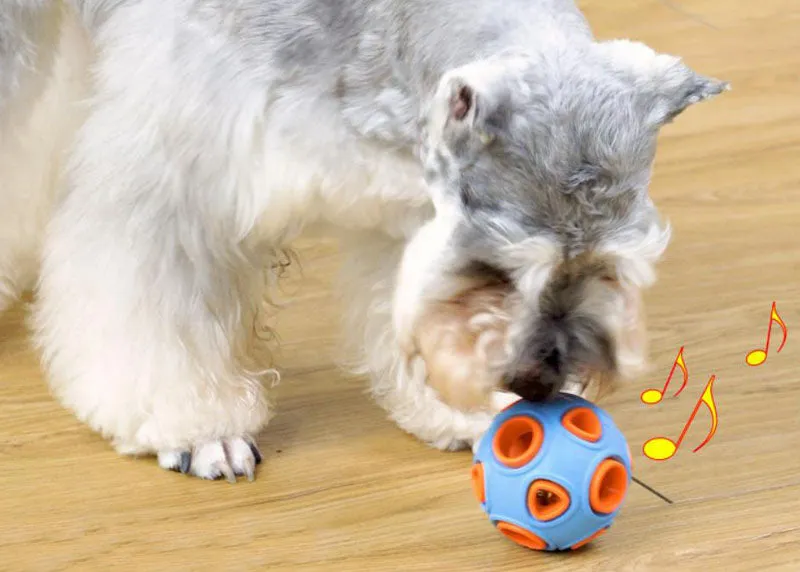 Pet toy dog food leakage and bite resistant toy ball bell sound training ball