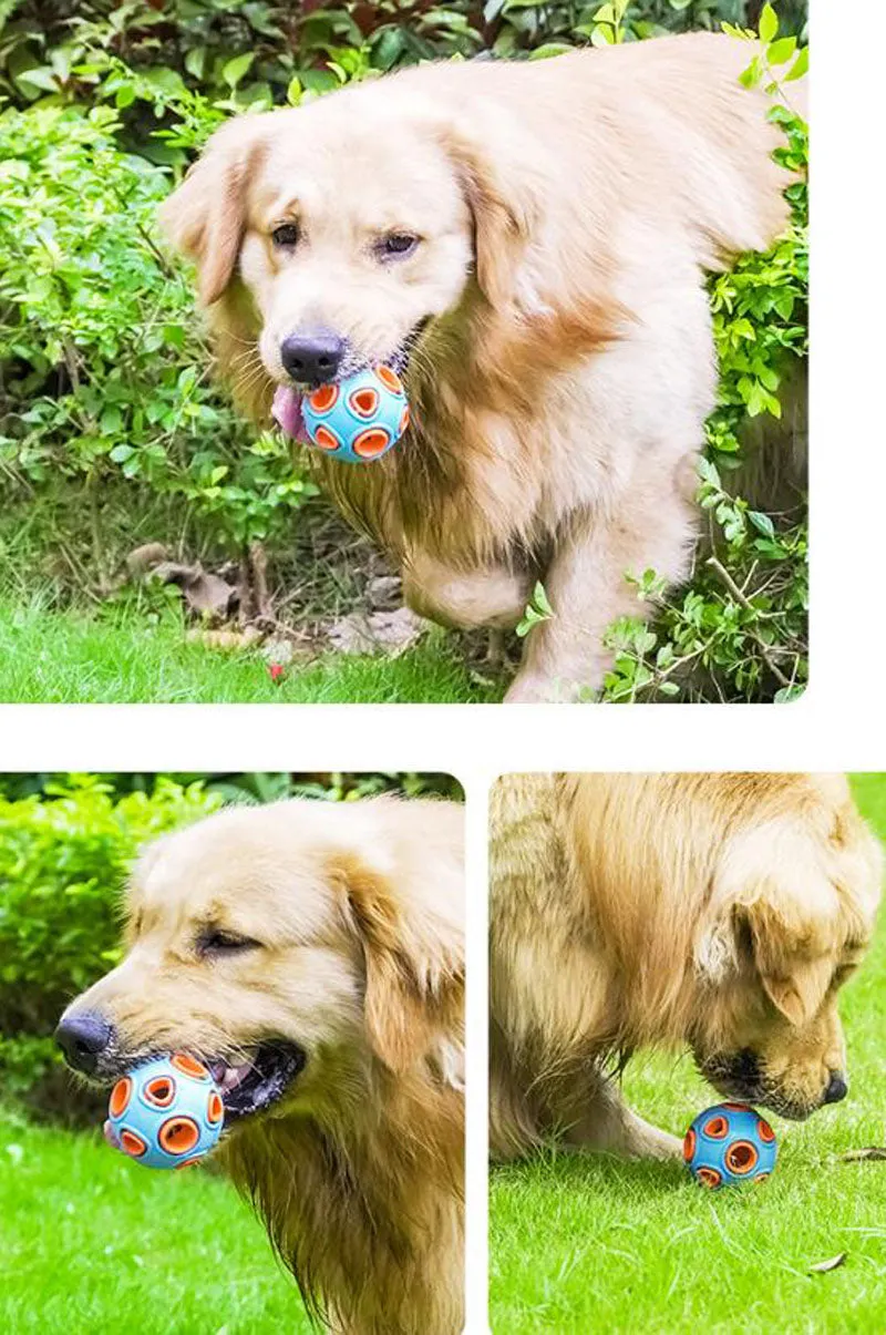 Pet toy dog food leakage and bite resistant toy ball bell sound training ball