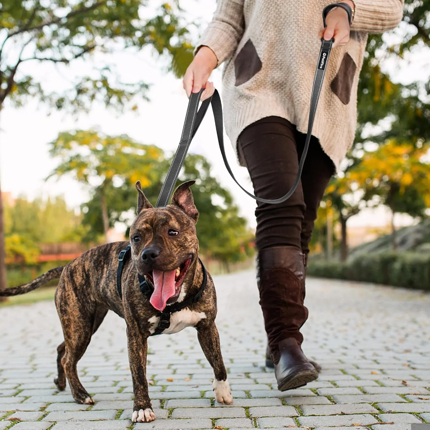 PetiFine 5FT Heavy Duty Dog Leash with Soft Padded Double Handle, Durable Strong Clasp Dog Leashes, Reflective Nylon Walking Lead for Large,Medium,Small Breed Dogs, Black