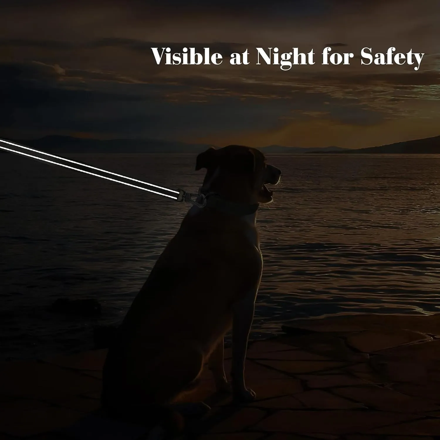 PetiFine 5FT Heavy Duty Dog Leash with Soft Padded Double Handle, Durable Strong Clasp Dog Leashes, Reflective Nylon Walking Lead for Large,Medium,Small Breed Dogs, Black